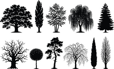 Set of diverse black tree silhouettes, collection of various deciduous and coniferous forest plants, vector illustration, isolated on white background, natural elements © Sajib