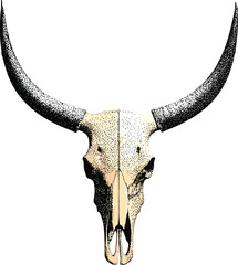 Fototapeta premium Isolated bull skull with long curved horns, western cowboy desert vibe, vintage illustration