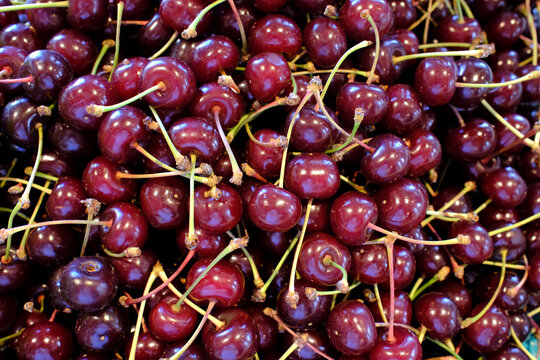 Fresh cherries are available for sale at a local market in a vibrant setting in France during the summer season