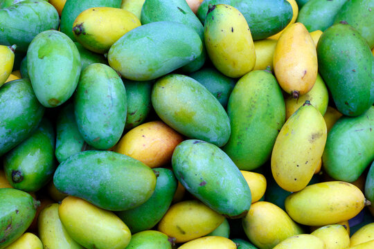 Fresh mangoes for sale in local market of Luang Prabang, Laos during a bustling afternoon