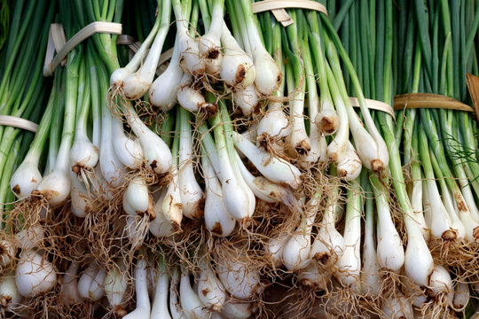 White onions are sold at a market in Luang Prabang, Laos during a busy local trade day