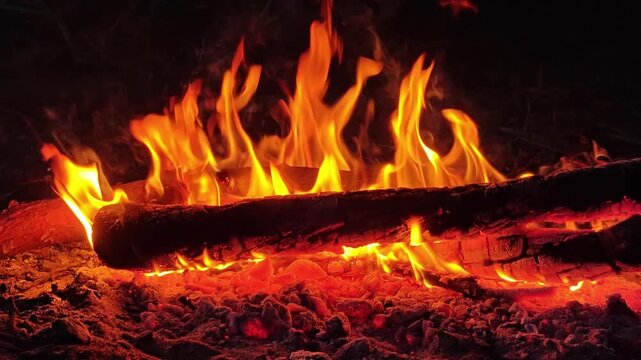 Close-up video of a campfire with bright dancing flames, glowing embers and burning logs at night. Cozy outdoor fire creating warm atmosphere for camping and relaxation.