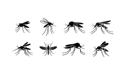Black Mosquito Silhouette Vector Illustration Set On Transparent Background, mosquito, mosquito silhouette, mosquito vector, insect, insect silhouette, flying insect, bug, pest, mosquito icon, © TalalAhmad