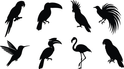 Tropical Bird Silhouette Collection with Parrots Toucan Flamingo and Exotic Wildlife Vector Set © MdAzizulHaque