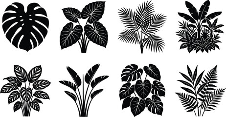 Tropical Plant Silhouette Vector Set with Monstera Palm Banana and Jungle Foliage Collection © MdAzizulHaque