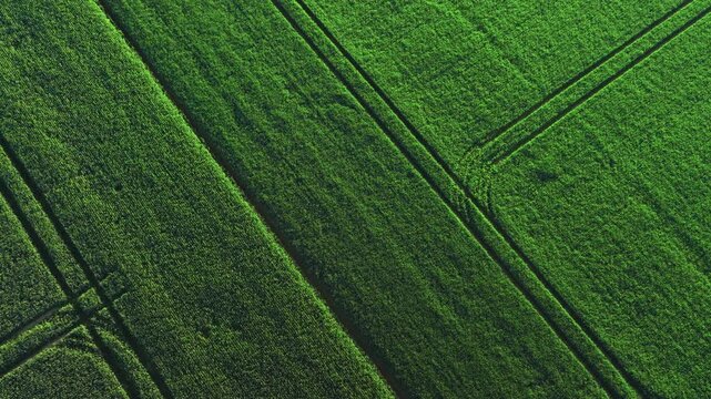  Aerial view on the fields and road. Landscape from drone. Agricultural landscape from air.