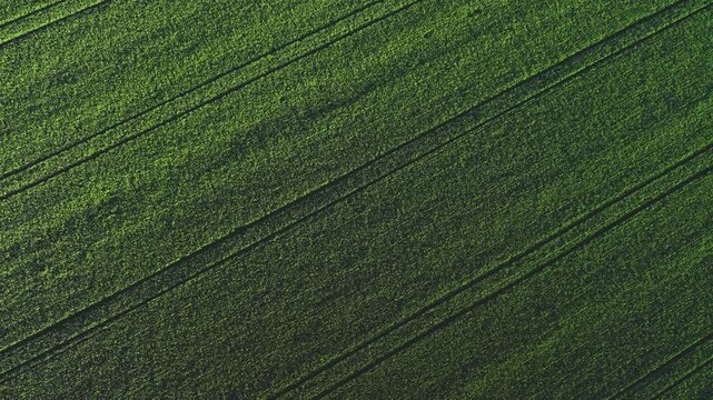  Aerial view on the fields and road. Landscape from drone. Agricultural landscape from air.