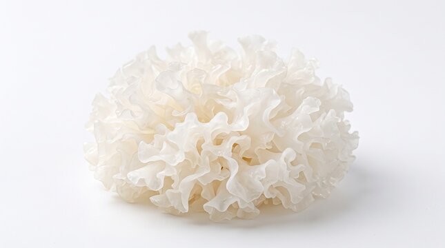 snow mushroom on white background 