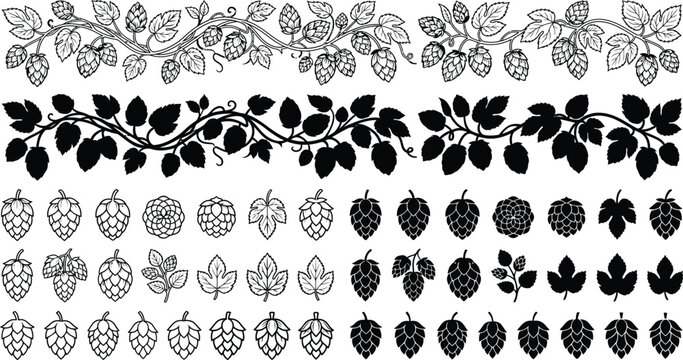 Hop Vine Borders And Cone Icons Botanical Vector Illustration Collection Set