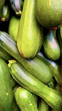 Pile of Fresh Green Zucchini at Market Close-Up