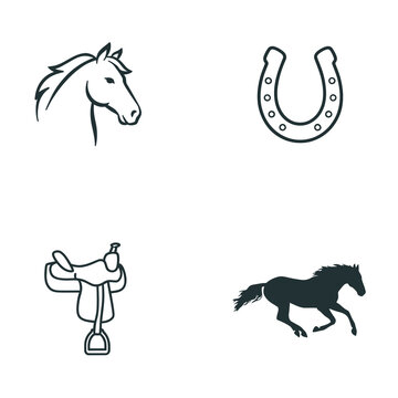 Hand-drawn horse and lucky horseshoe icons. Minimalist black and white line art illustrations for branding and design projects.