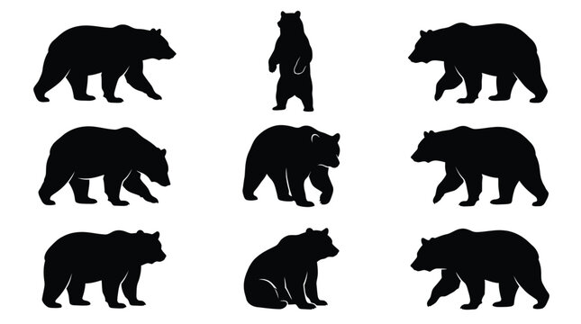 Set of black bear silhouettes showcasing various standing and walking poses in a vector graphic design