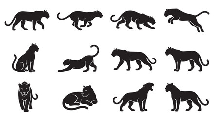 Obraz premium Dynamic black panther silhouettes set in various hunting and resting positions with big cat, animal kingdom