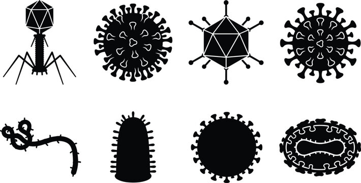 Black silhouette virus morphology icons including bacteriophage, coronavirus, icosahedral, filamentous, bullet shaped, spherical, and poxvirus structures for medical illustration