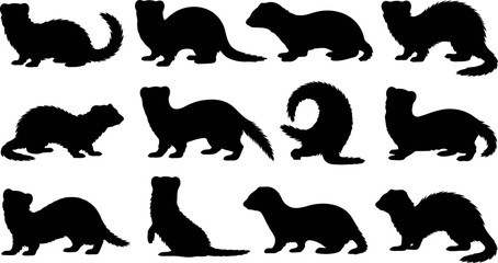 Collection of cat silhouettes in various poses and movements on white background © SAYEDAJANNATUL
