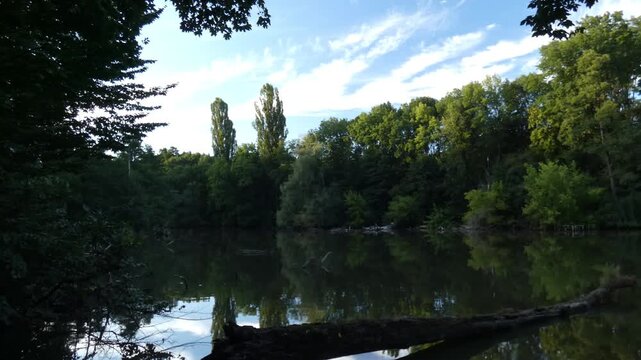 Calm river reflecting dense green forest, lush trees and cloudy blue sky with fallen log, natural lighting, wide shot, peaceful atmosphere. Serenity and clarity.