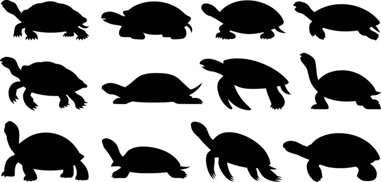 Collection of turtle silhouettes in various poses and movements on white background