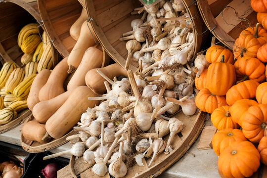 Fall Gourds and Garlic Market Display