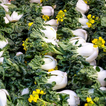 Bok Choy at Market
