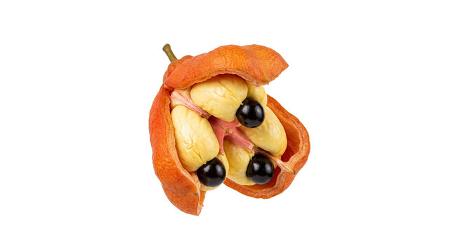 Fresh Ripe Ackee Fruit Isolated on White Background with Open Pod Showing Creamy Arils and Glossy Black Seeds