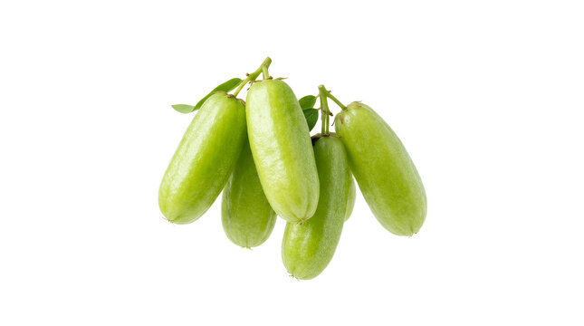 Fresh Green Bilimbi Fruits Averrhoa Bilimbi Bunch with Small Leaves Isolated on White Background