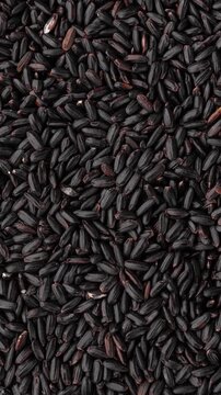 Closeup, top view of raw black rice. Food backdrop