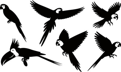 Collection of various parrot silhouettes flying and perched  tropical bird designs © SAYEDAJANNATUL