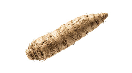 Fototapeta premium Single Raw Jerusalem Artichoke Sunroot Tuber Isolated on White. Organic Earthy Root Vegetable for Healthy Nutrition.