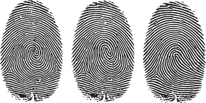 Three black fingerprint patterns in a row against a white background for identity and security concepts