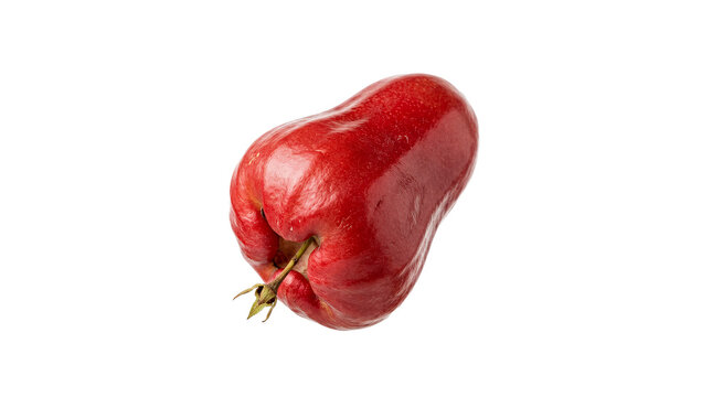 Single Ripe Red Rose Apple Fruit Isolated on White Background, Organic Tropical Wax Apple for Healthy Lifestyle Diet