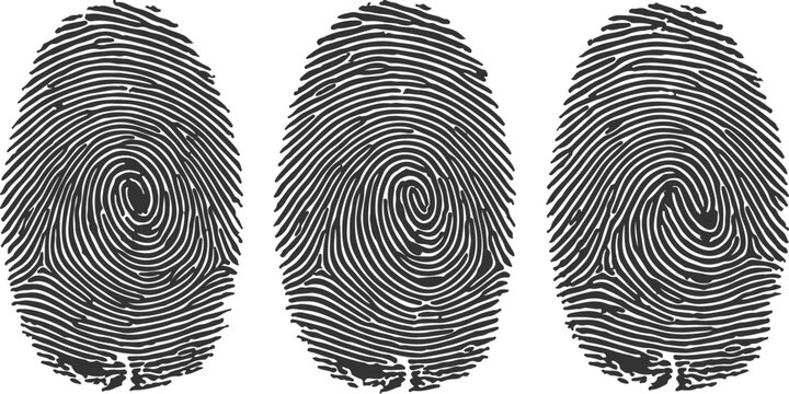 Three distinct fingerprint patterns in a row against a clean white background with copy space for design