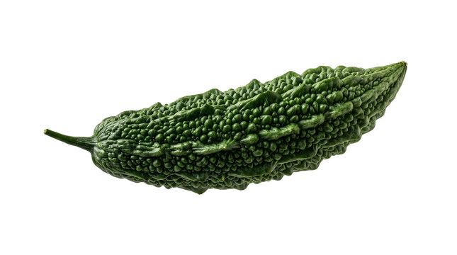 Fresh green bitter melon vegetable isolated on white background, organic bitter gourd for healthy Asian herbal cooking