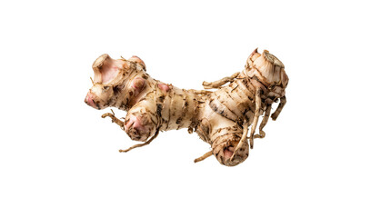 Obraz premium Organic Fresh Galangal Root Ginger Rhizome Isolated on White Background for Culinary Spice and Traditional Herbal Medici