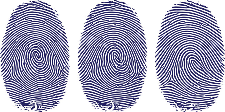 Three blue fingerprint patterns against a white background symbolizing identity verification and security protocols