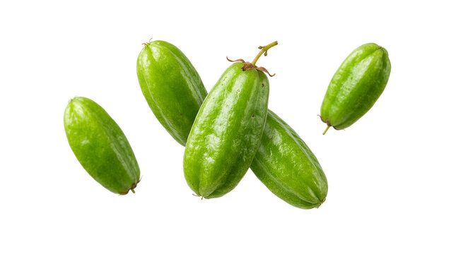Fresh Green Bilimbi Fruits Isolated on White Background, Sour Averrhoa Bilimbi Healthy Organic Cucumber Tree Fruit