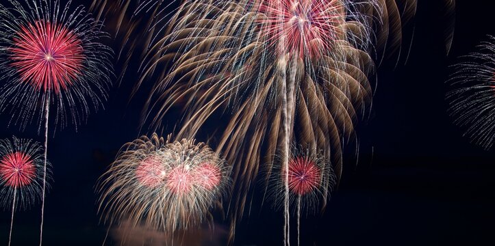 colorful fireworks fill the night sky