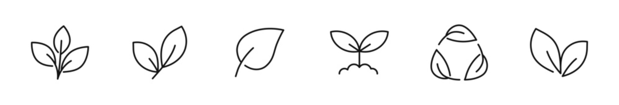 Leaf icon set. Leaves of trees and plants icons in line style. Editable web icons for natural, eco, bio, vegan labels etc. Vector illustration.