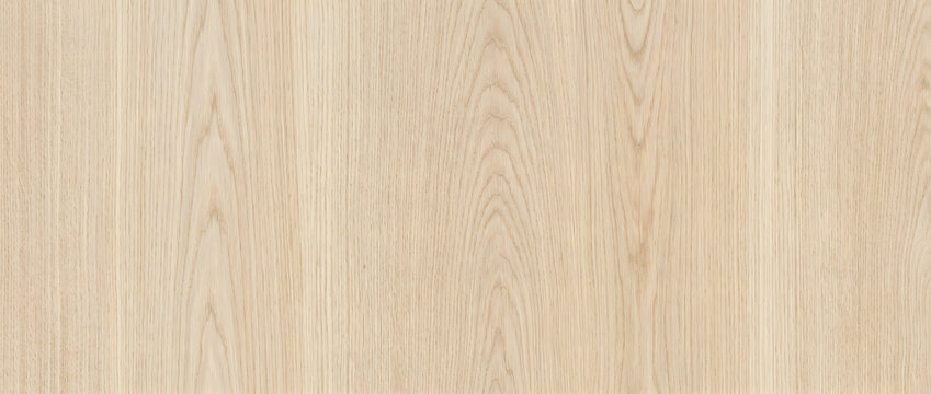 Maple wood texture presents a smooth pale surface with faint delicate grain lines and a soft creamy natural tone