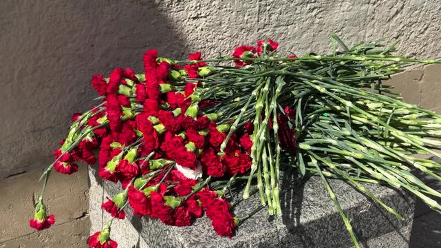 Bouquet of red carnations lying on a stone monument. Floral tribute for remembrance day or memorial ceremony. Symbol of respect, mourning, and honoring the fallen heroes at a grave site.