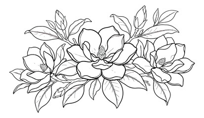 Vintage magnolia flower line art vector, botanical floral bouquet with blooming petals and buds, elegant black and white garden blossom illustration © Rehman