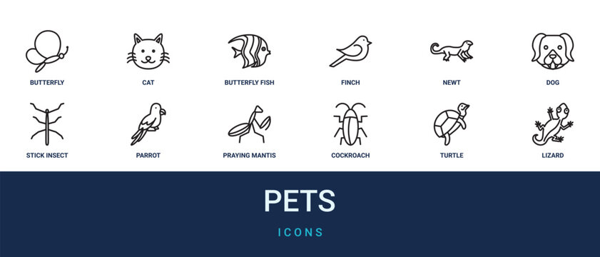 Set of 12 outline web Pets icons such as lizard, turtle, cockroach, praying mantis, parrot, stick insect, dog vector icons for report, presentation, diagram, web design, mobile app