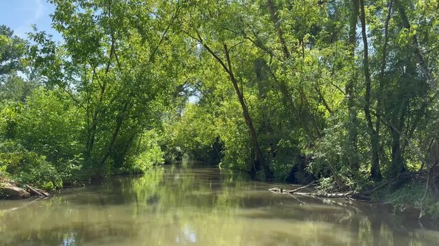 Marais Poitevin en barque &agrave; l'ombre