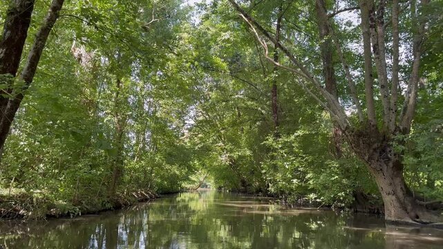 Marais Poitevin en barque sans moteur relaxant vid&eacute;o 4K