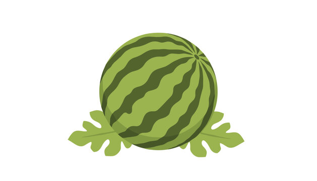 Round watermelon with dark green stripes resting on broad leaves representing summer harvest and healthy organic produce art.