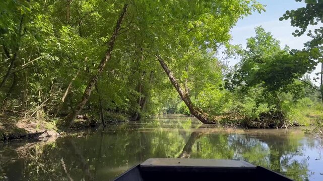 Marais Poitevin en barque passage dans les arbres vid&eacute;o 4K