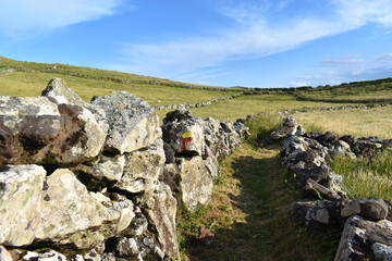 A stone wall lines a hiking trail that leads through pastures and grassy rural landscape under a blue sky, Corvo Island, Azores © Klara Bakalarova
