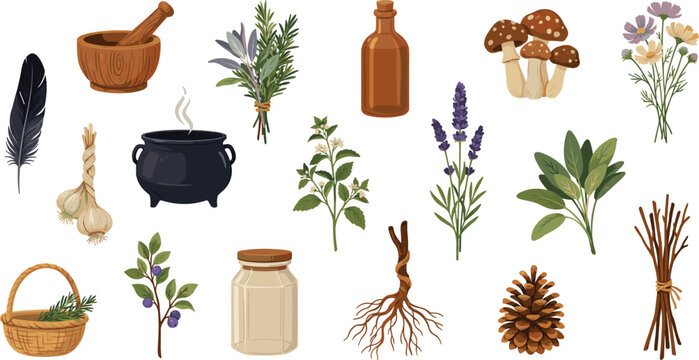 Witchy cottagecore herbalist vector element set featuring botanical herbs potion bottles cauldron mushrooms and mystical forest ingredients