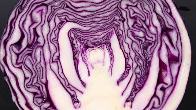 Close-up of a halved Red cabbage head showing internal texture and pattern slowly rotating, Top view shot