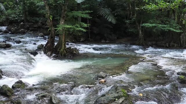 Tao Thong waterfall in phang nga province thailand offers a tranquil atmosphere and is situated in a forest featuring significant root systems along the stream.
