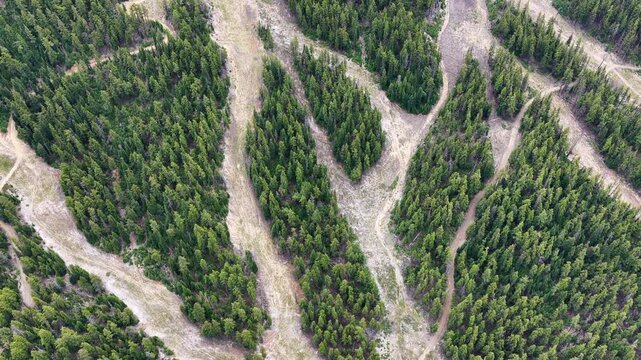 Seen from the sky during summer, ski trails meander through the forest on the slopes of Mt. Bachelor, Oregon. This iconic volcanic mountain is part of the Cascade Range and just 22 miles from Bend.